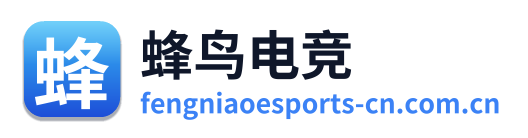 蜂鸟电竞